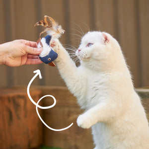 Kazoo Chirpy Bird Cat Toy