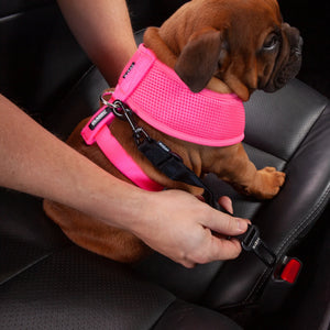 Kazoo Click Clack Seatbelt Connector