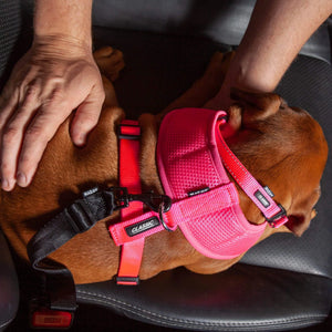 Kazoo Click Clack Seatbelt Connector