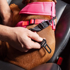 Kazoo Click Clack Seatbelt Connector