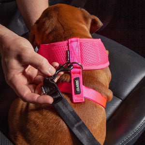 Kazoo Click Clack Seatbelt Connector