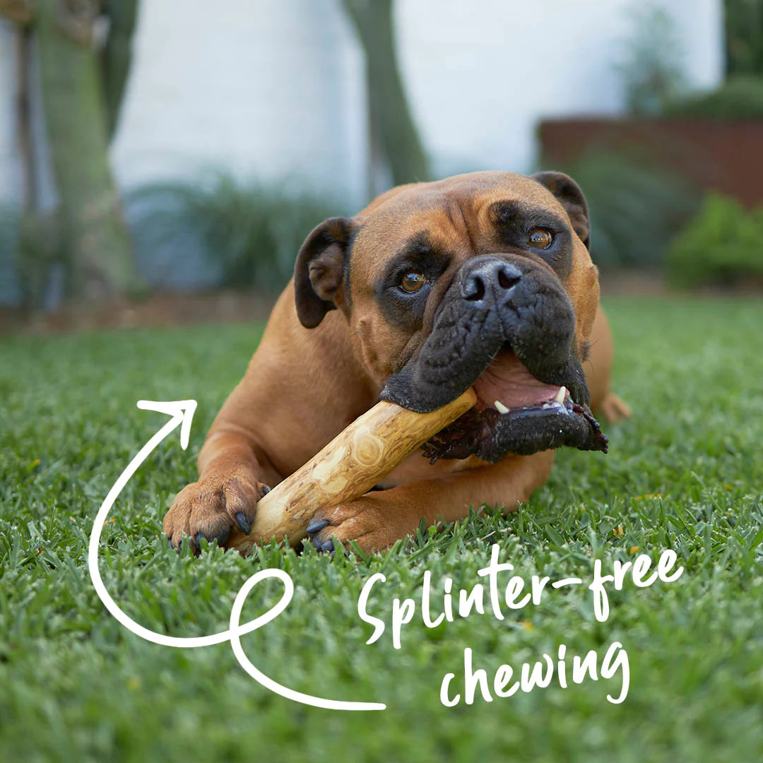 Kazoo Coffee Wood Chew Dog Toy
