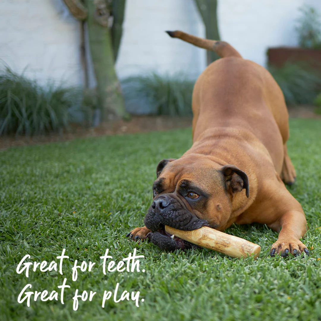 Kazoo Coffee Wood Chew Dog Toy