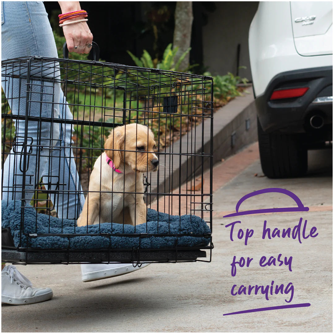 Kazoo Everyday Dog Crate