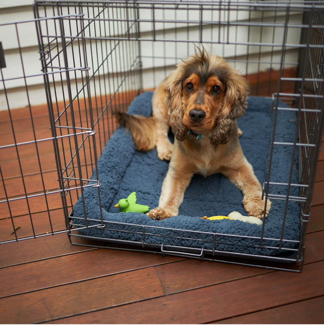 Kazoo Everyday Dog Crate