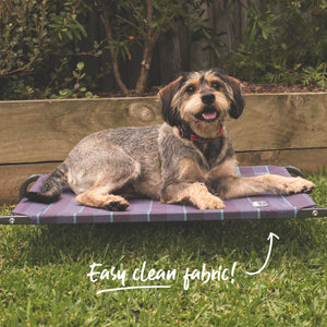 Kazoo Everyday Outdoor Dog Bed