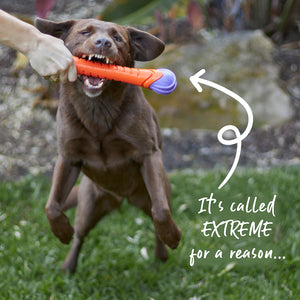 Kazoo Extreme Play Chew Stick