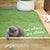 Kazoo Fantail Bird Wand Cat Toy