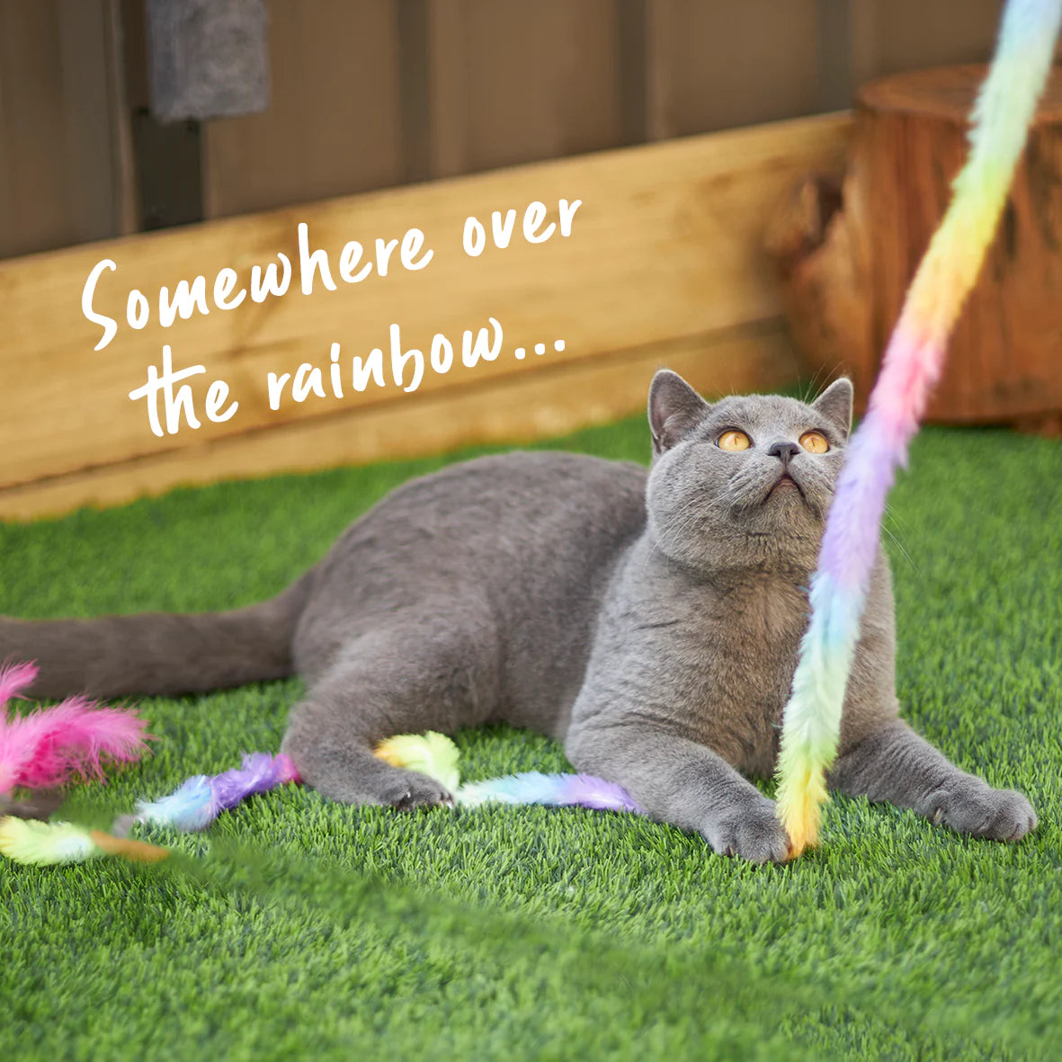 Kazoo Fluffy Rainbow Tail Cat Toy
