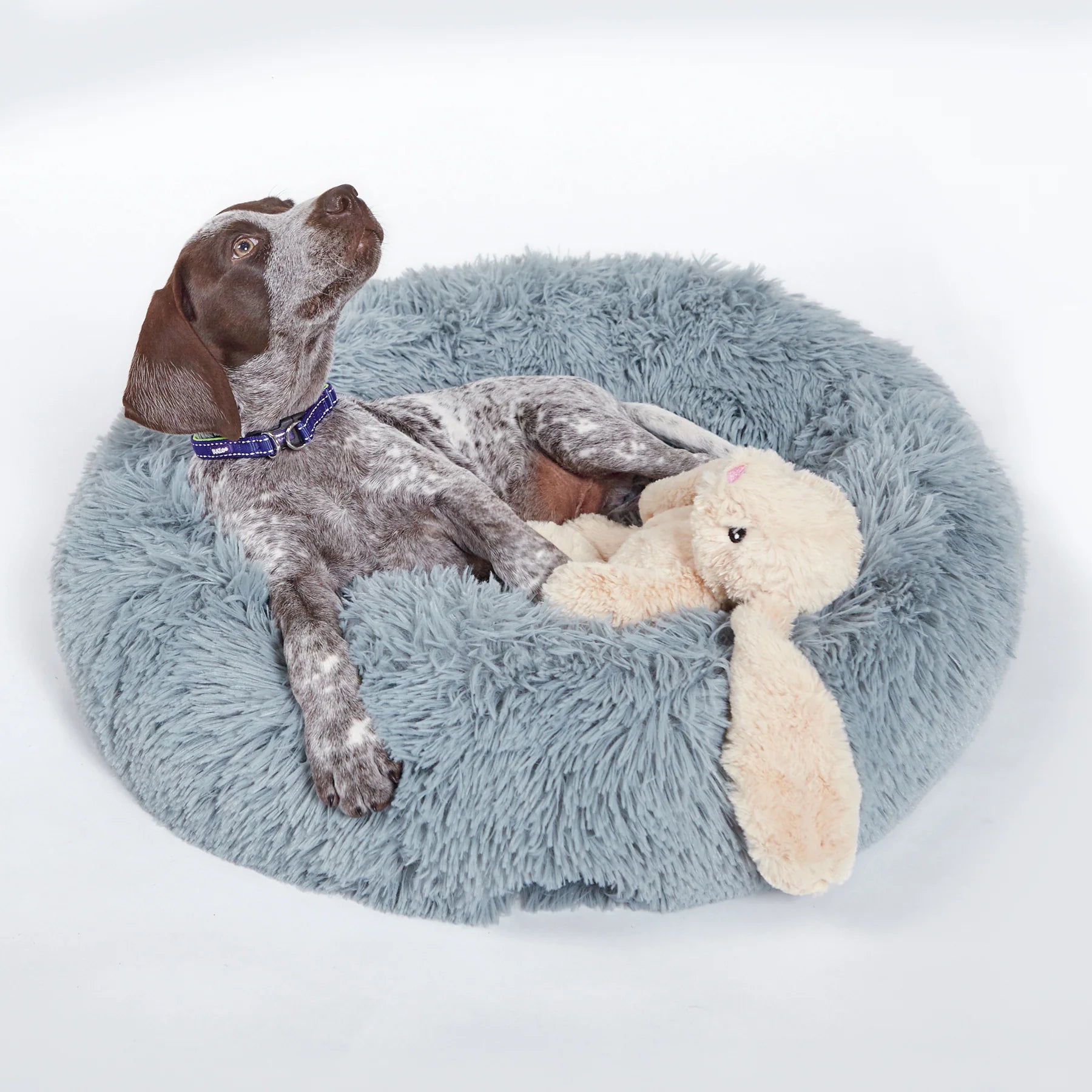 Kazoo Furries Long Eared Bunny Dog Toy