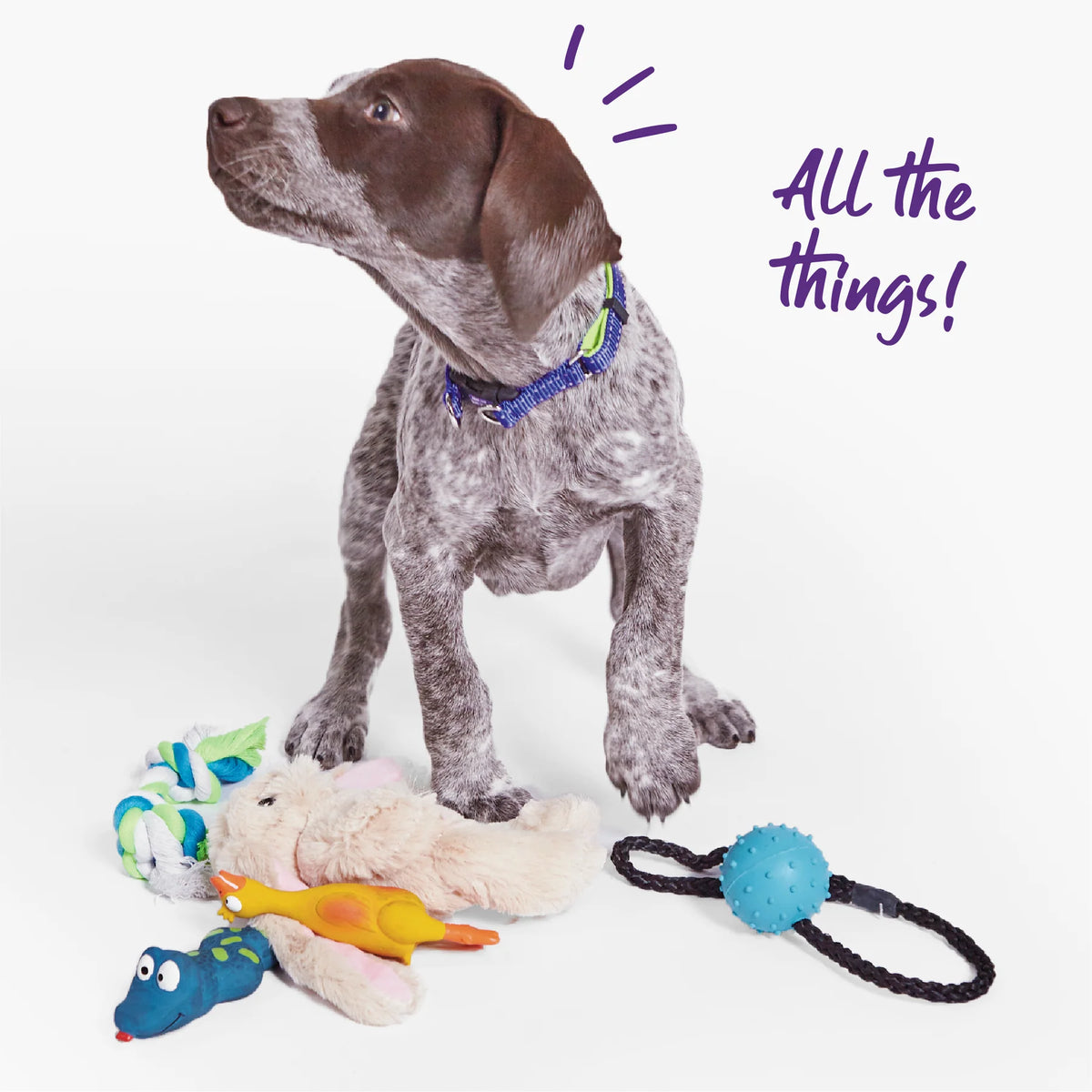 Kazoo Furries Long Eared Bunny Dog Toy