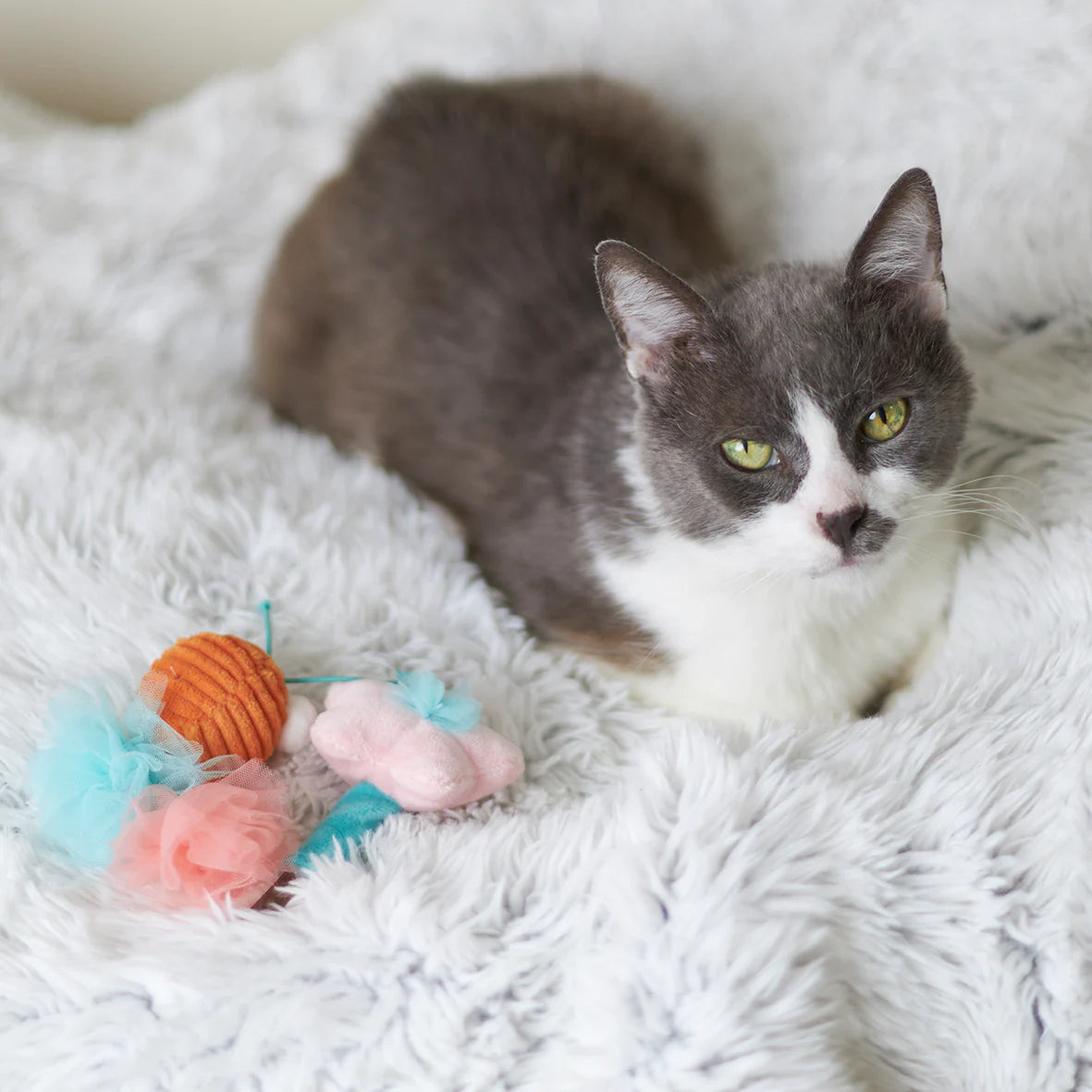 Kazoo Garden Treats Cat Toy