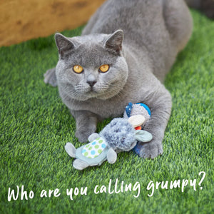 Kazoo Grumpy Rabbit Cat Toy