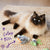 Kazoo Hungry Bunny Cat Toy