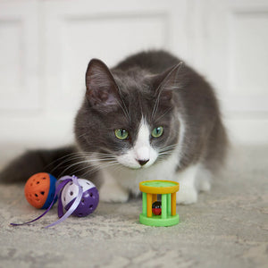 Kazoo Kitty Barrel Rattle Cat Toy