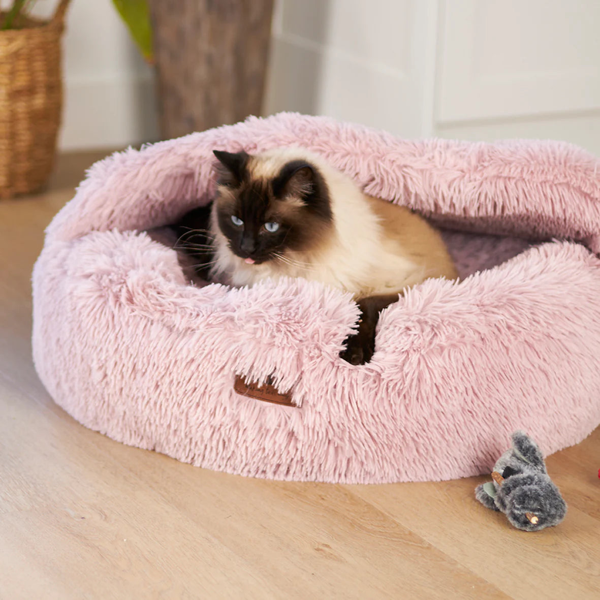 Kazoo Koala Cuddles Cat Toy