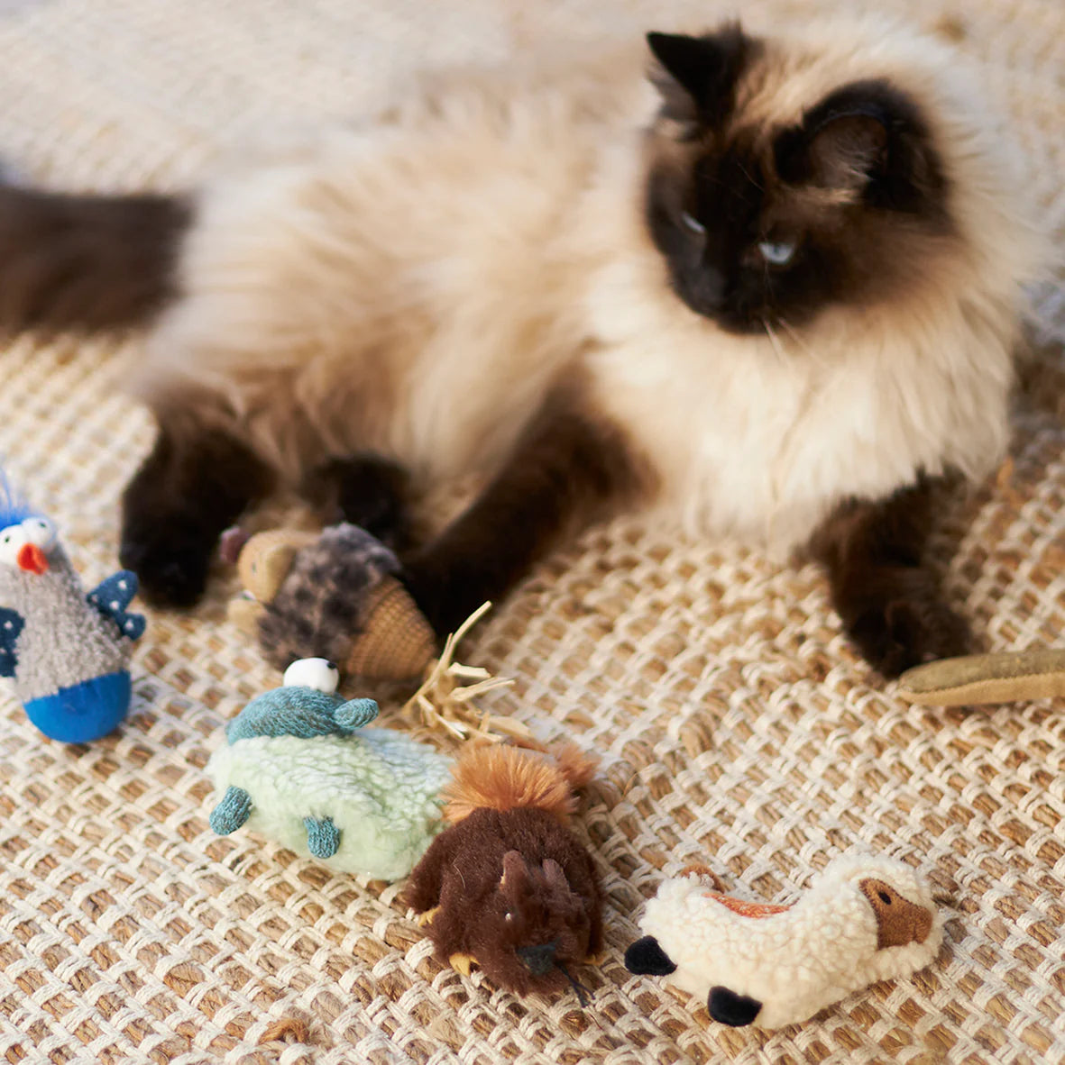 Kazoo Love A Llama Cat Toy