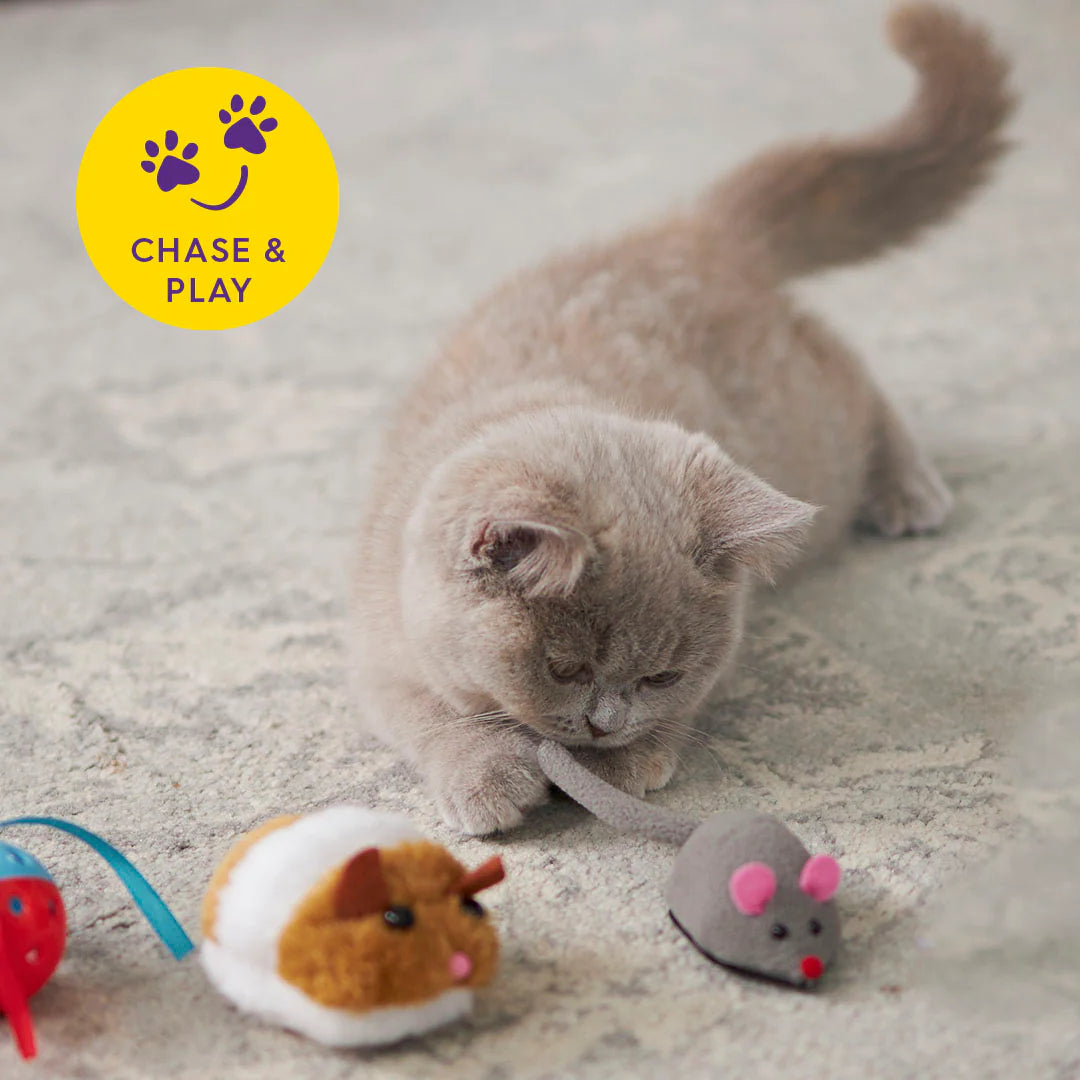 Kazoo Move It Mouse Cat Toy