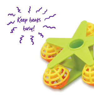 Kazoo Perch Star