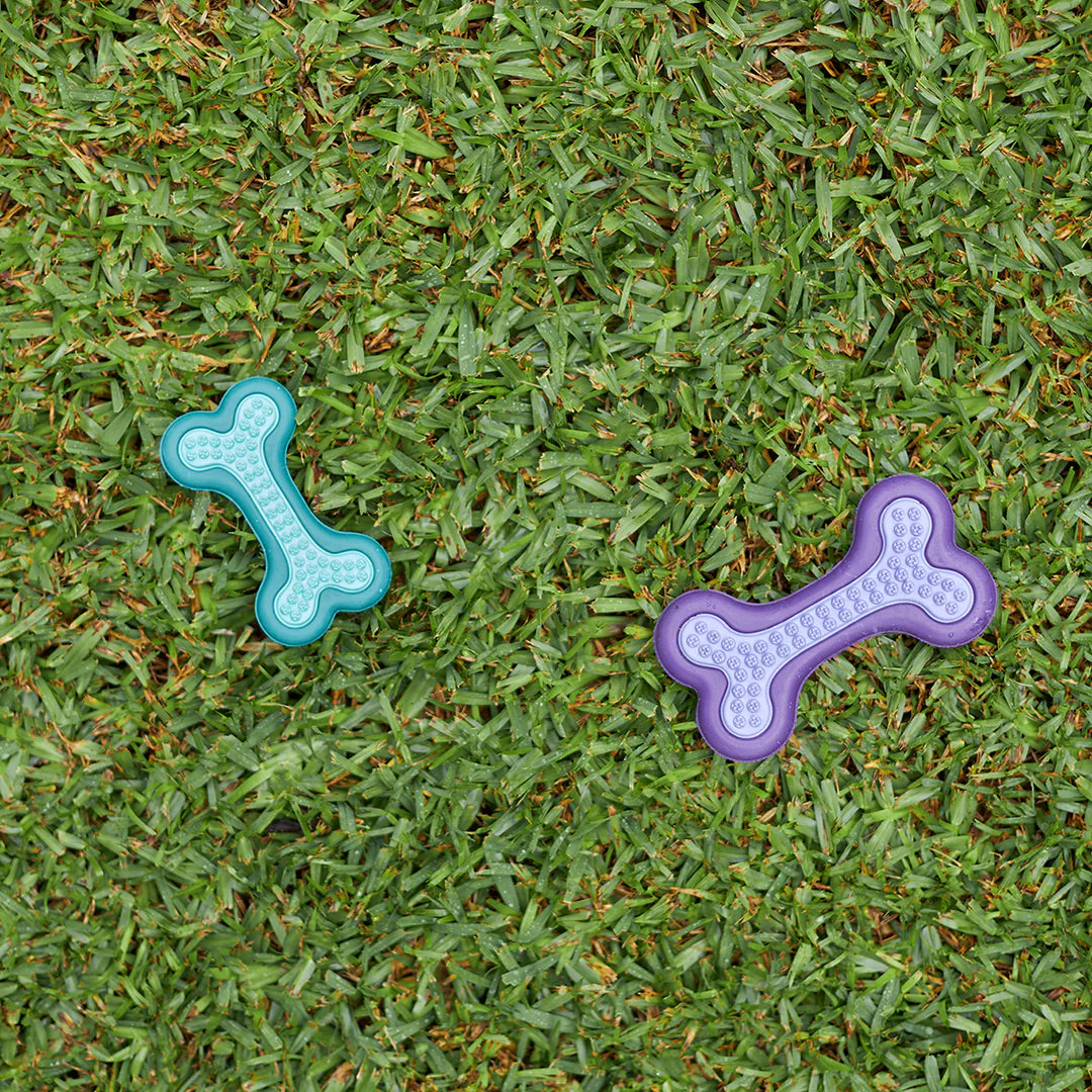Kazoo Puppy Teether Dog Toy