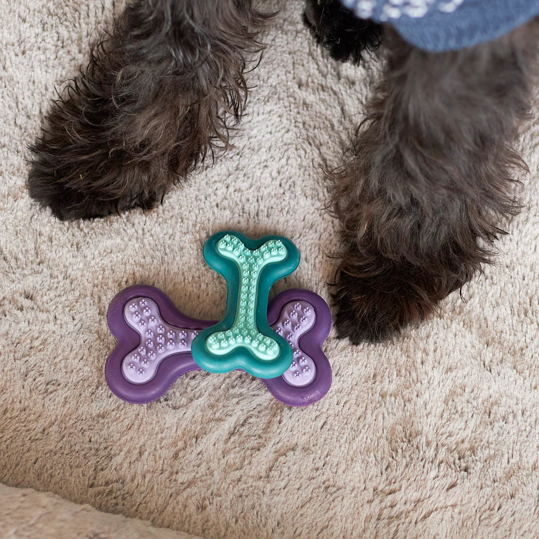 Kazoo Puppy Teether Dog Toy