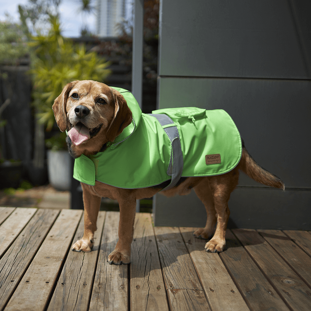 Kazoo Rainy Days Coat