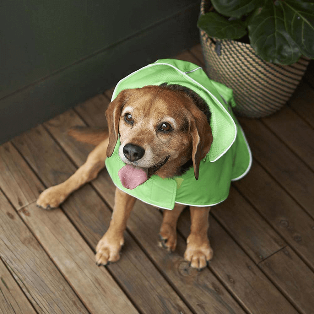 Kazoo Rainy Days Coat