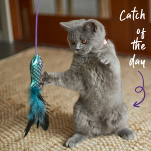 Kazoo Ripple Fish Wand Cat Toy