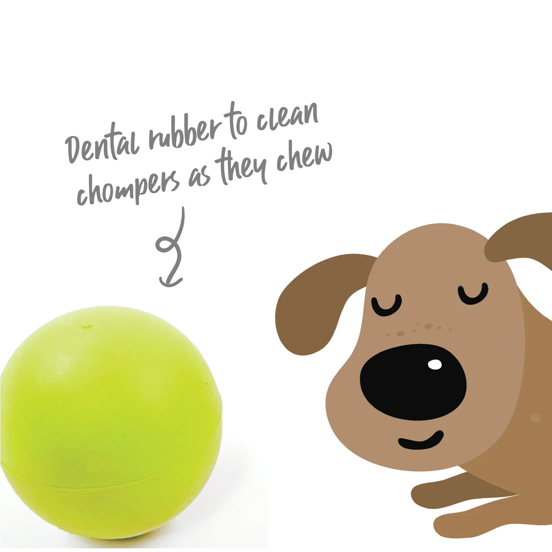 Kazoo Rubber Ball Dog Toy