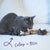 Kazoo Sleepy Sloth Cat Toy