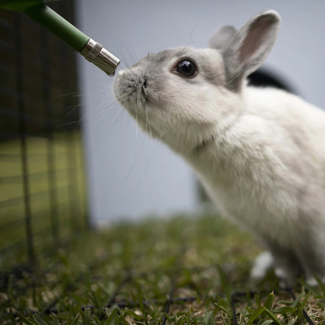Kazoo Small Animal Drink Bottle