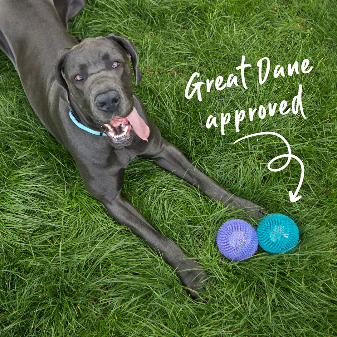 Kazoo Space Ball Dog Toy