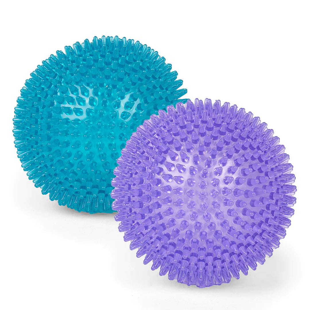 Kazoo Space Ball Dog Toy