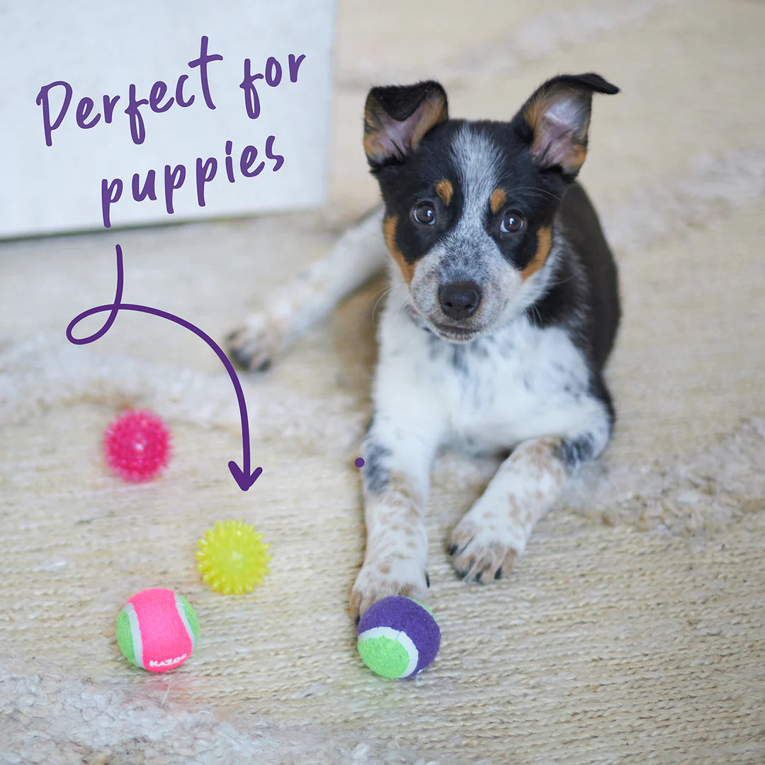 Kazoo Space Ball Dog Toy