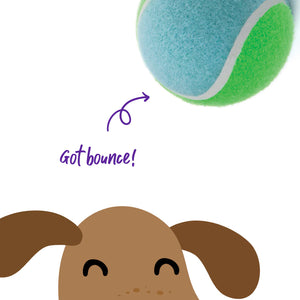 Kazoo Sponge Tennis Ball Dog Toy