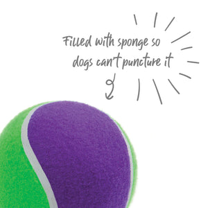 Kazoo Sponge Tennis Ball Dog Toy