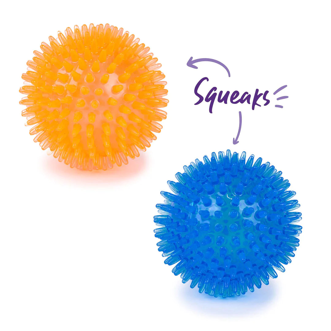 Kazoo Squeaky Space Ball Dog Toy