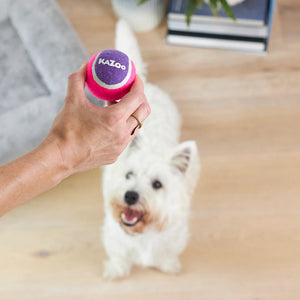 Kazoo Squeaky Tennis Ball Dog Toy
