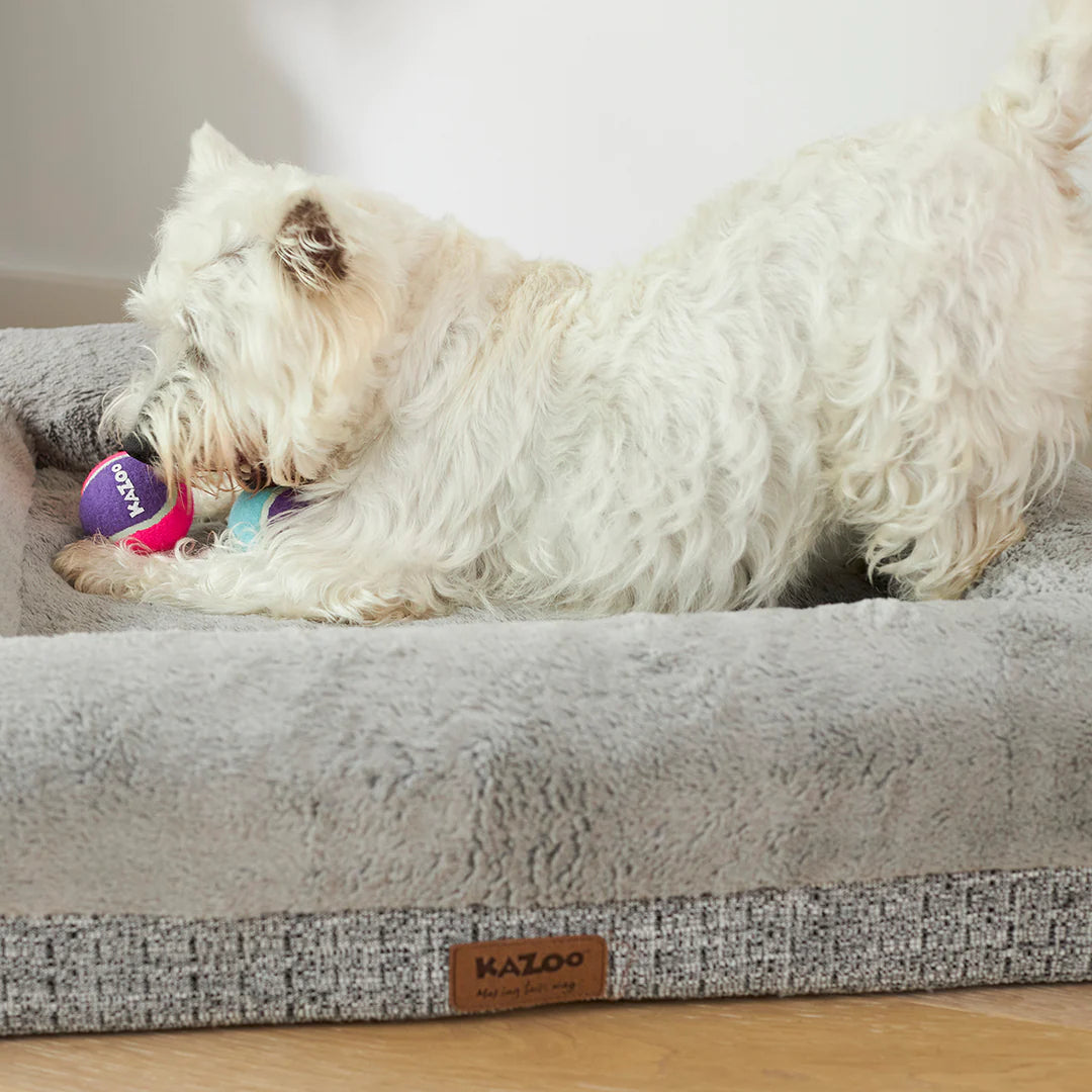 Kazoo Squeaky Tennis Ball Dog Toy