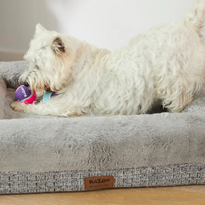 Kazoo Squeaky Tennis Ball Dog Toy