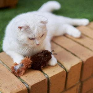 Kazoo Squishy Squirrel Cat Toy