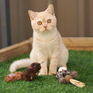 Kazoo Squishy Squirrel Cat Toy