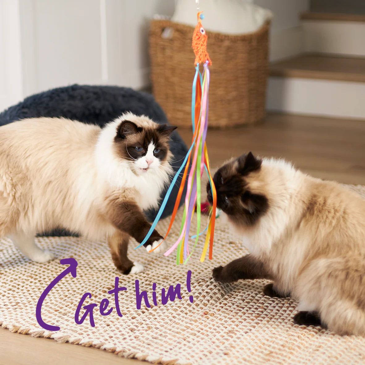 Kazoo Streamer Fish Wand Cat Toy