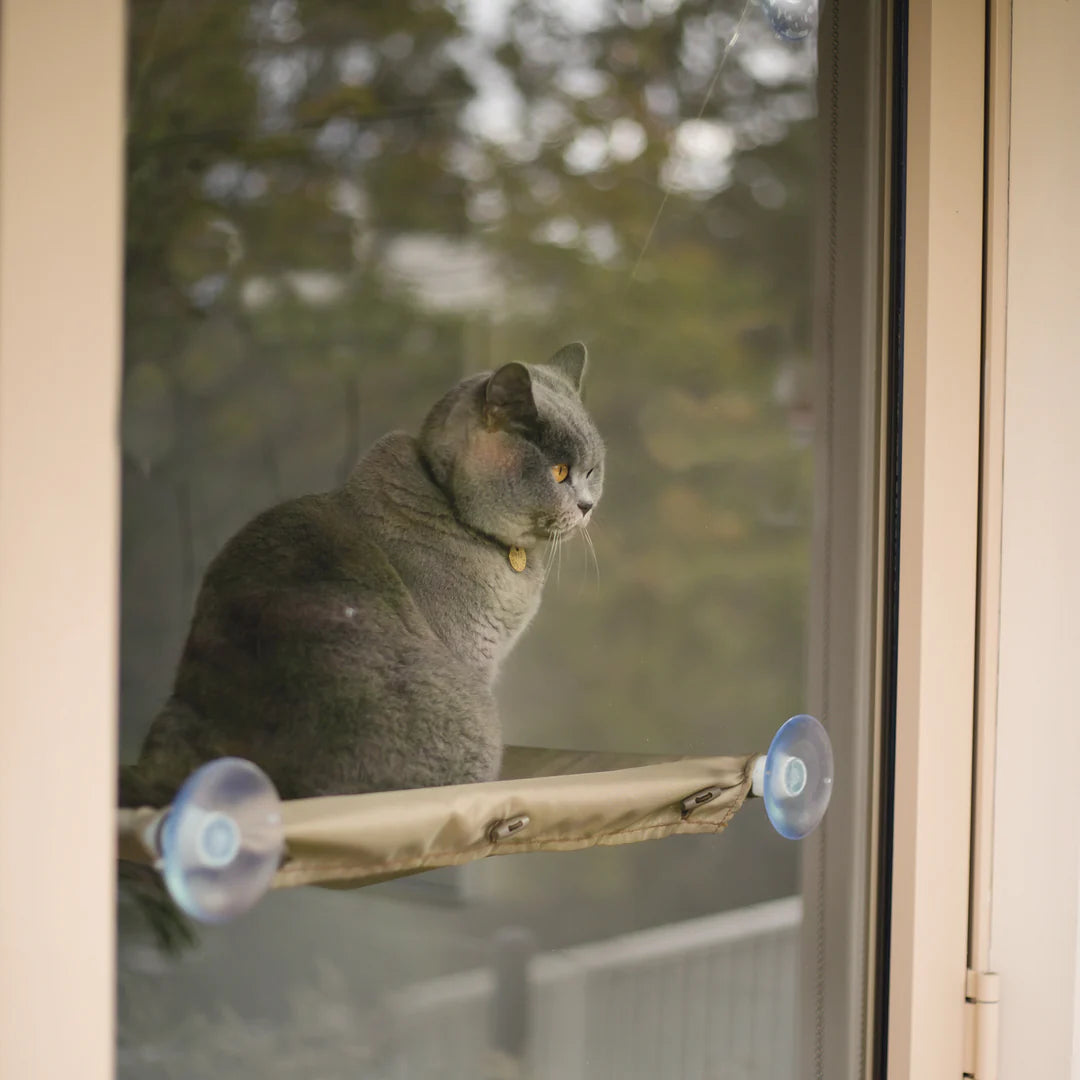 Kazoo The Lookout Window Cat Bed
