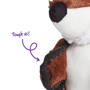 Kazoo Tough Raccoon Dog Toy