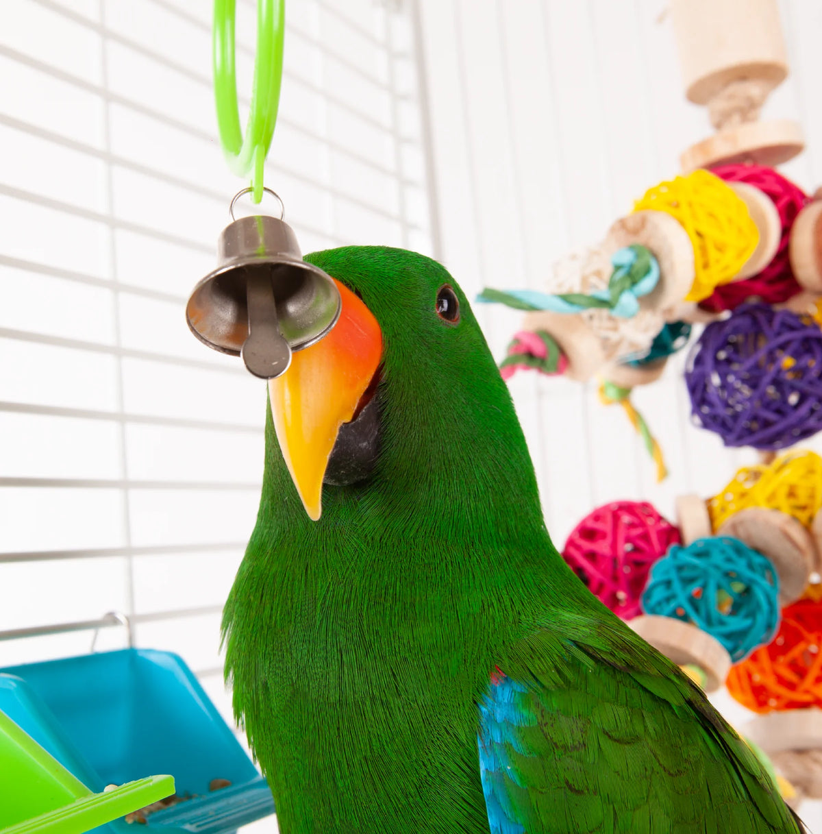 Kazoo Triple Cage Ring with Bell