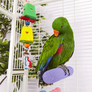 Kazoo Twin Hanging Cardboard Foraging Box