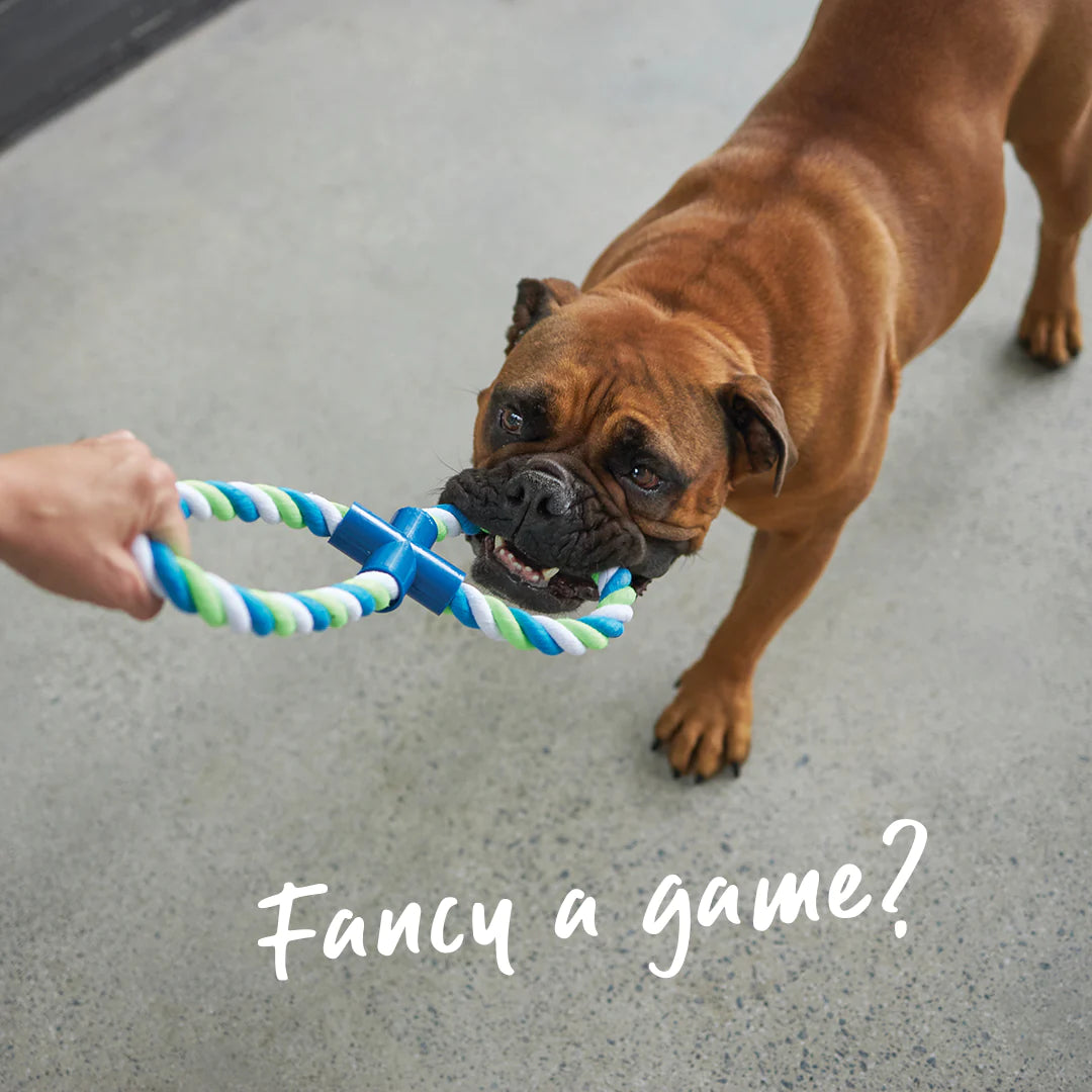 Kazoo Twisted Rope Figure 8 Tug Dog Toy