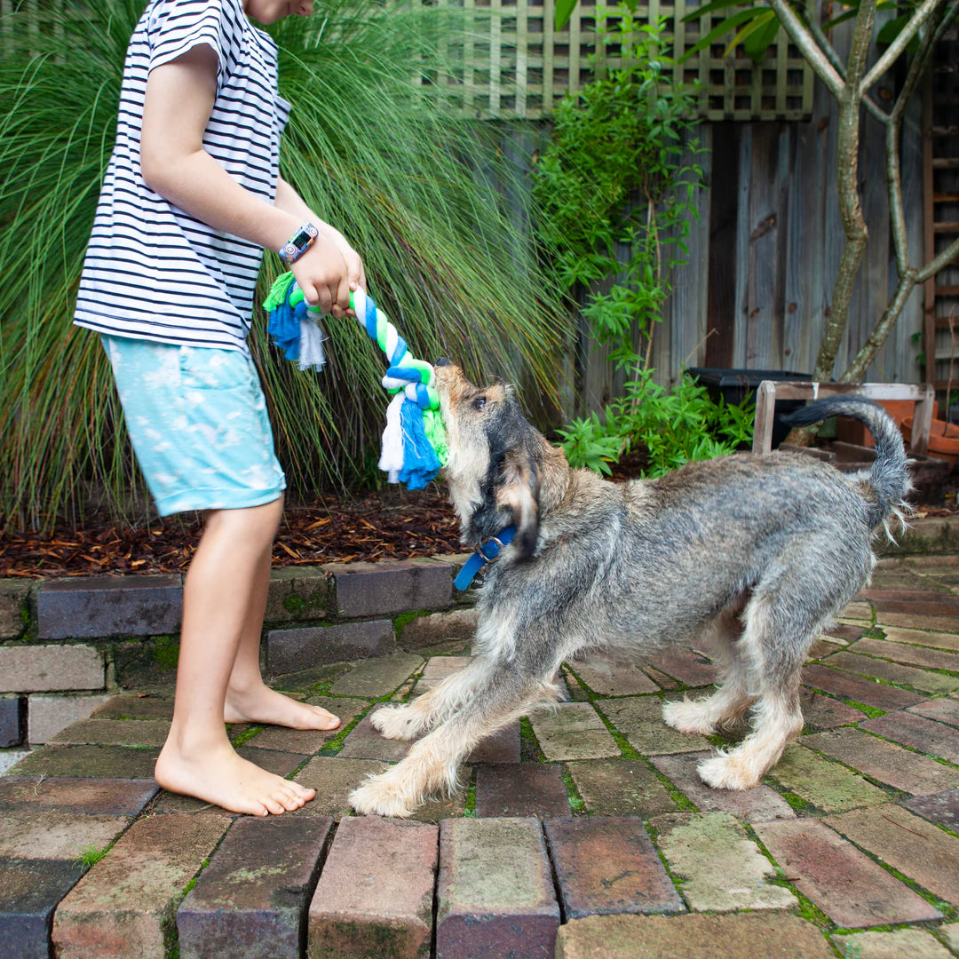 Kazoo Twisted Rope Knot Bone Dog Toy