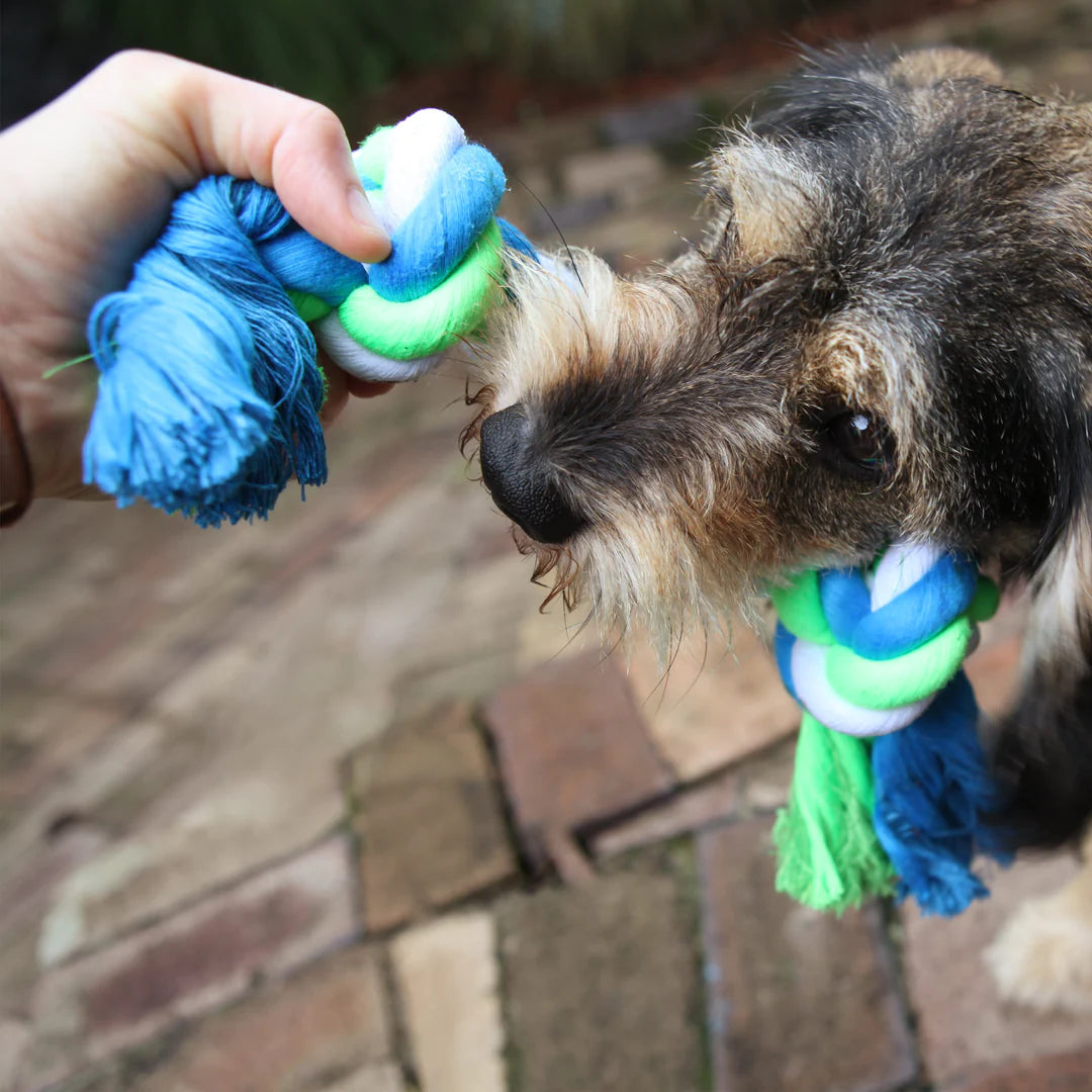 Kazoo Twisted Rope Knot Bone Dog Toy